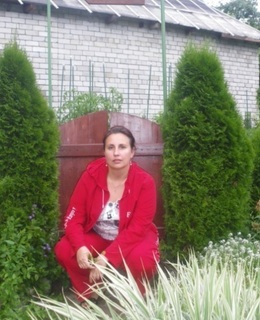 Алена